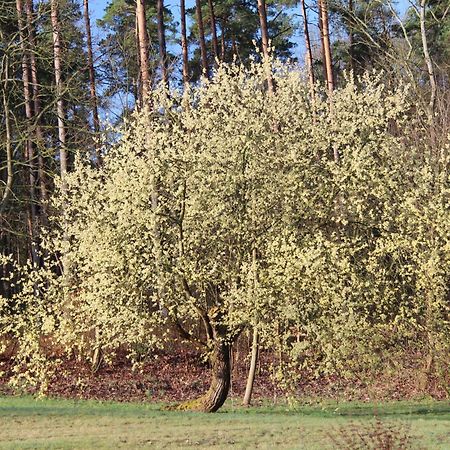Ferien in Troja Villa Lärz Buitenkant foto